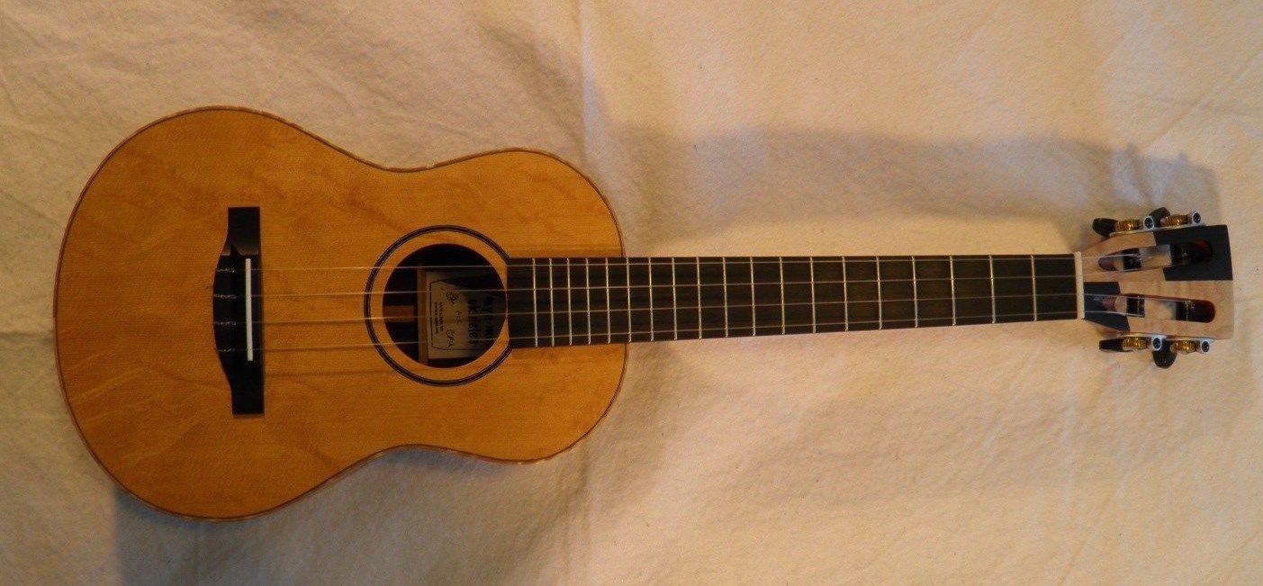 Top 5 des ukulélés de collection les plus chers récemment vendus sur eBay ! 